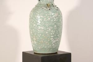 Foto 7